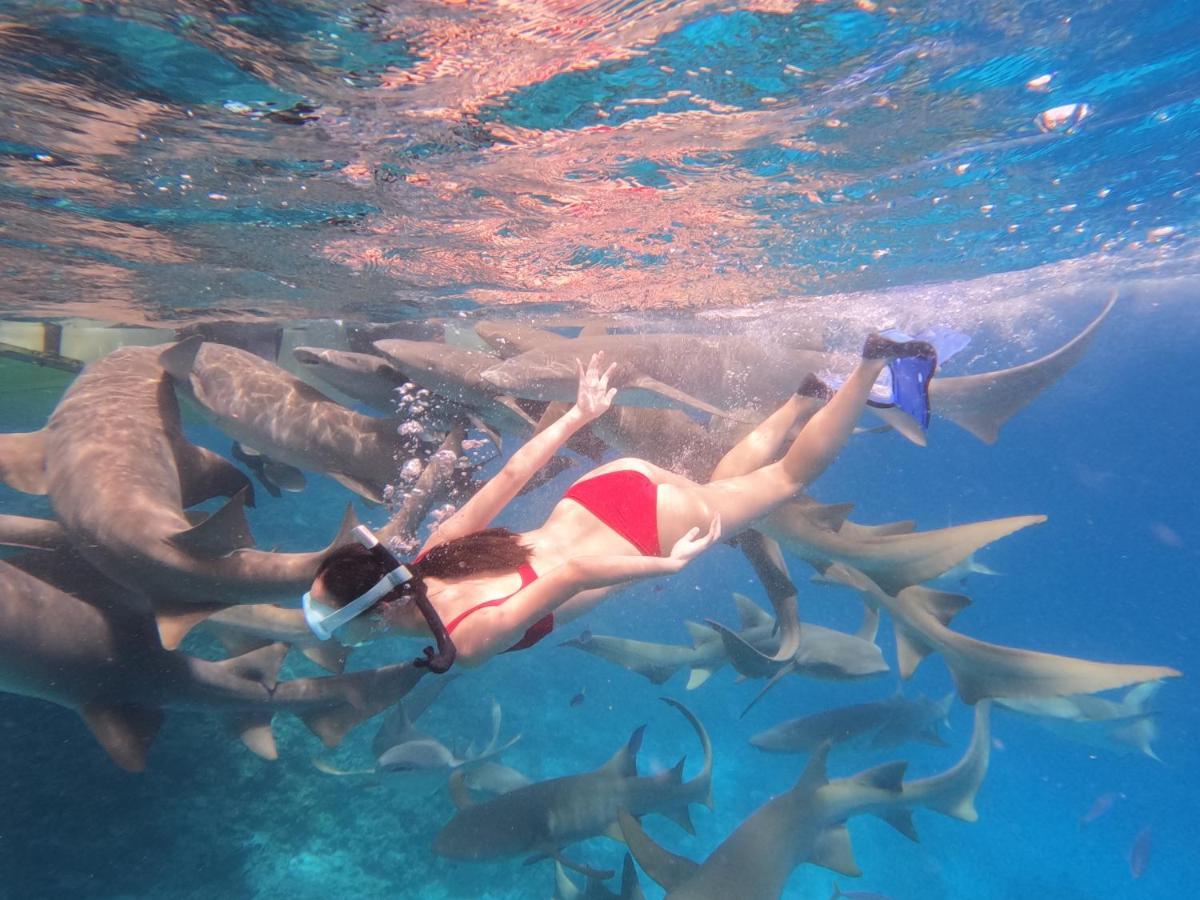 Pelican Beach Maafushi Bagian luar foto
