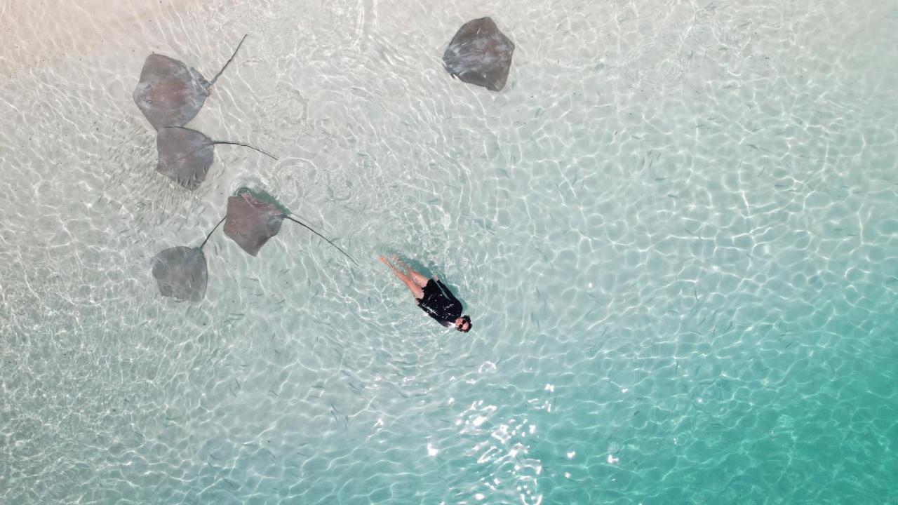 Pelican Beach Maafushi Bagian luar foto